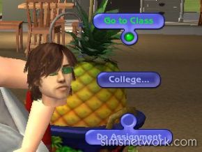 The Sims 2 University