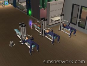 The Sims 2 University