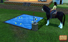 The Sims 3 Pets