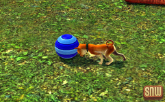 The Sims 3 Pets