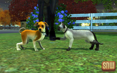 The Sims 3 Pets