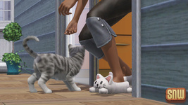 The Sims 3 Pets