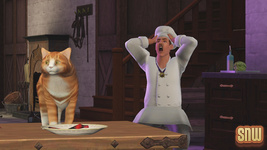 The Sims 3 Pets