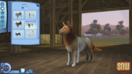 The Sims 3 Pets