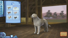 The Sims 3 Pets