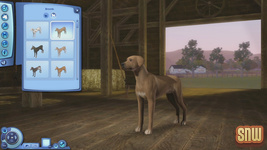 The Sims 3 Pets