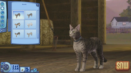 The Sims 3 Pets