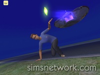 The Sims 2