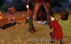 The Sims Medieval